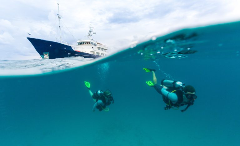For yacht brokers, whether in charter or sales, a yacht’s condition and timely availability are crucial.